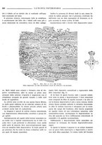 giornale/TO00190201/1935/unico/00000419