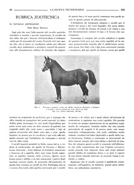 La nuova veterinaria rivista mensile fondata e diretta da Alessandro Lanfranchi