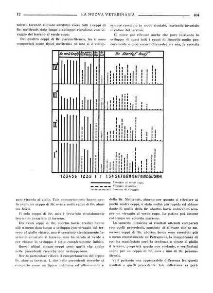 La nuova veterinaria rivista mensile fondata e diretta da Alessandro Lanfranchi