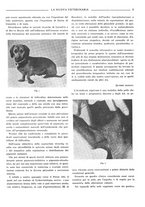 giornale/TO00190201/1936/unico/00000011