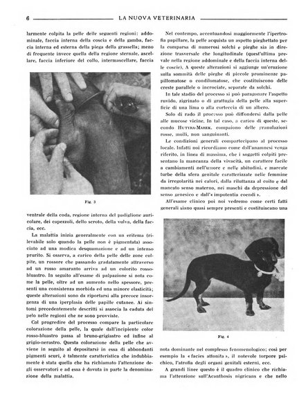 La nuova veterinaria rivista mensile fondata e diretta da Alessandro Lanfranchi