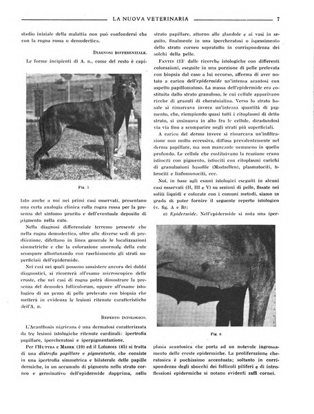 La nuova veterinaria rivista mensile fondata e diretta da Alessandro Lanfranchi