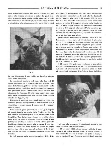 La nuova veterinaria rivista mensile fondata e diretta da Alessandro Lanfranchi