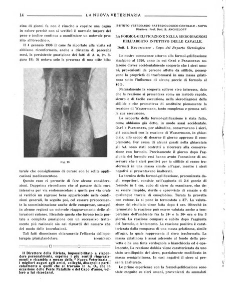 La nuova veterinaria rivista mensile fondata e diretta da Alessandro Lanfranchi