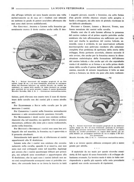 La nuova veterinaria rivista mensile fondata e diretta da Alessandro Lanfranchi