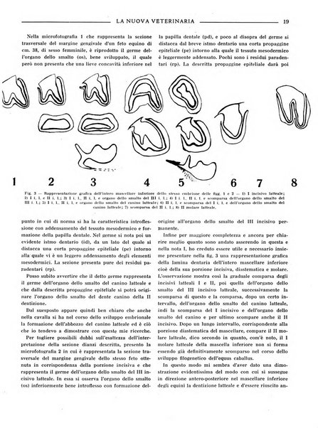 La nuova veterinaria rivista mensile fondata e diretta da Alessandro Lanfranchi