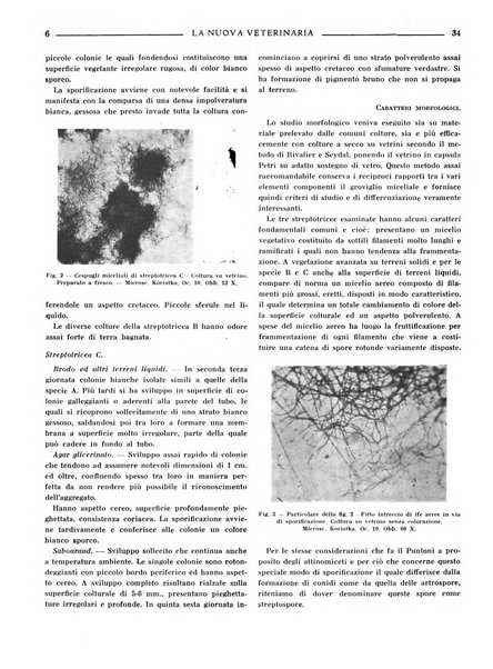 La nuova veterinaria rivista mensile fondata e diretta da Alessandro Lanfranchi