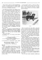 giornale/TO00190201/1936/unico/00000053