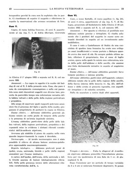 La nuova veterinaria rivista mensile fondata e diretta da Alessandro Lanfranchi