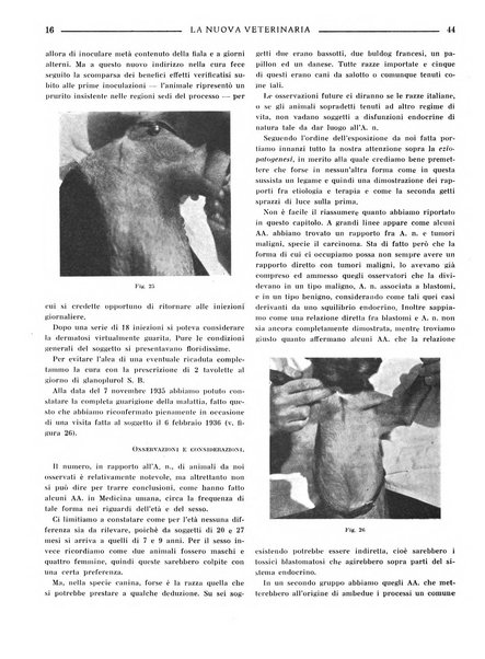 La nuova veterinaria rivista mensile fondata e diretta da Alessandro Lanfranchi