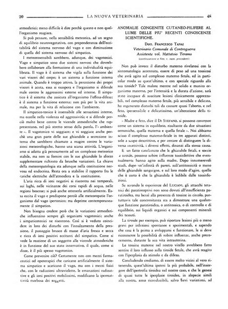 La nuova veterinaria rivista mensile fondata e diretta da Alessandro Lanfranchi