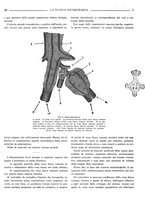 giornale/TO00190201/1936/unico/00000075