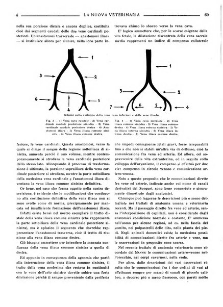 La nuova veterinaria rivista mensile fondata e diretta da Alessandro Lanfranchi