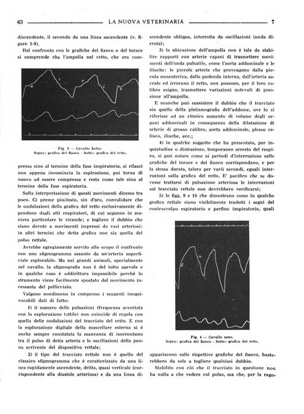 La nuova veterinaria rivista mensile fondata e diretta da Alessandro Lanfranchi