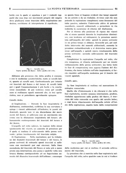 La nuova veterinaria rivista mensile fondata e diretta da Alessandro Lanfranchi