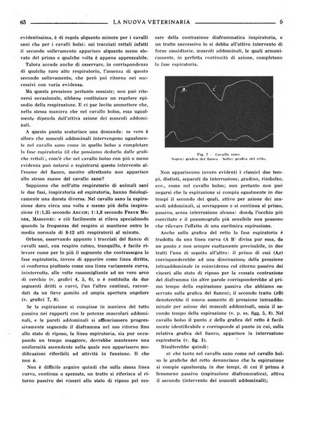 La nuova veterinaria rivista mensile fondata e diretta da Alessandro Lanfranchi