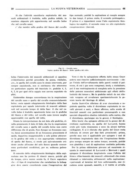 La nuova veterinaria rivista mensile fondata e diretta da Alessandro Lanfranchi