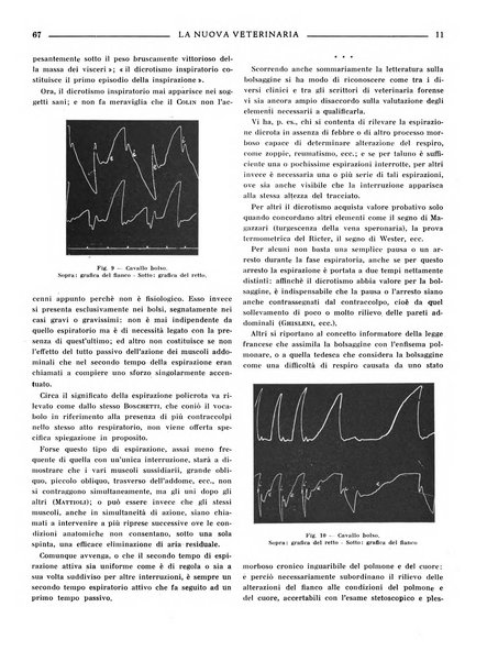 La nuova veterinaria rivista mensile fondata e diretta da Alessandro Lanfranchi