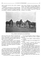 giornale/TO00190201/1936/unico/00000119