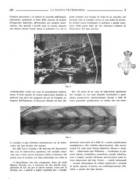 La nuova veterinaria rivista mensile fondata e diretta da Alessandro Lanfranchi