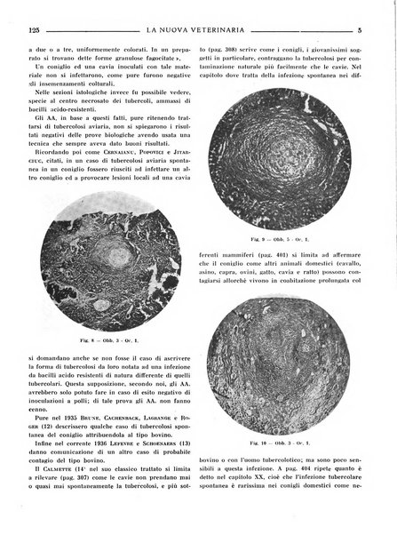 La nuova veterinaria rivista mensile fondata e diretta da Alessandro Lanfranchi