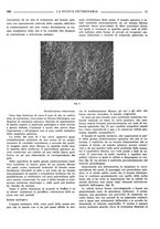 giornale/TO00190201/1936/unico/00000187