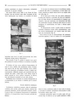 giornale/TO00190201/1936/unico/00000194