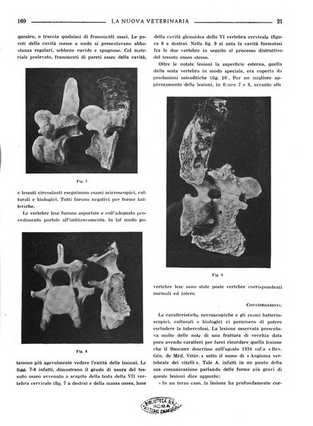 La nuova veterinaria rivista mensile fondata e diretta da Alessandro Lanfranchi