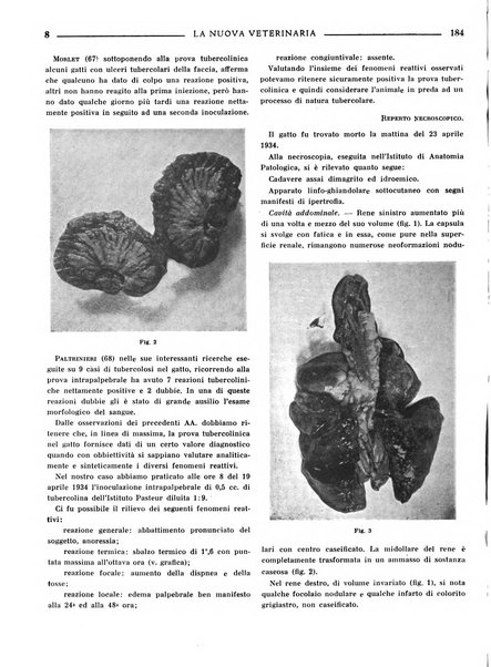 La nuova veterinaria rivista mensile fondata e diretta da Alessandro Lanfranchi