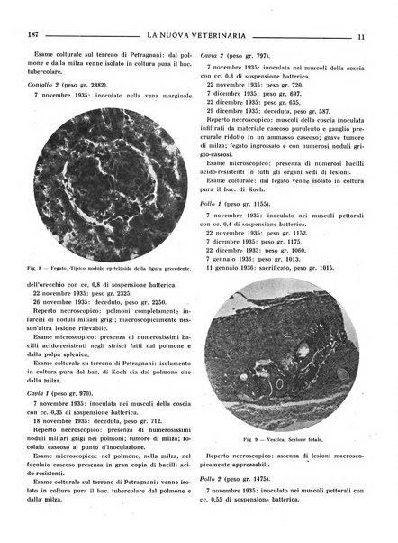 La nuova veterinaria rivista mensile fondata e diretta da Alessandro Lanfranchi