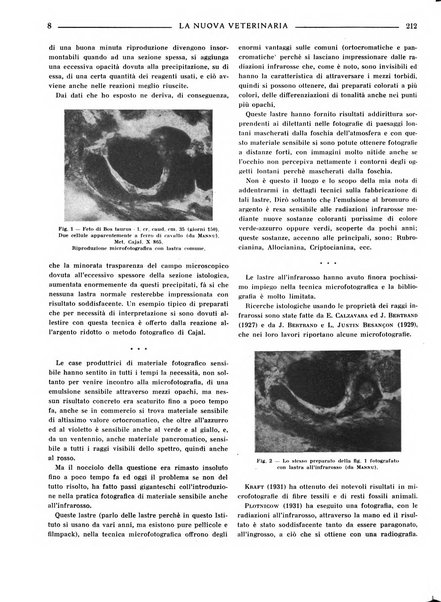 La nuova veterinaria rivista mensile fondata e diretta da Alessandro Lanfranchi