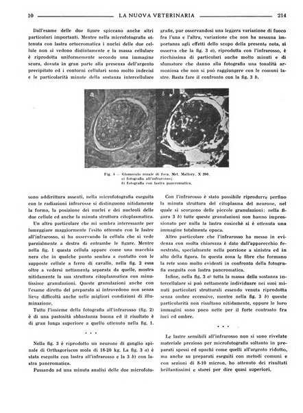 La nuova veterinaria rivista mensile fondata e diretta da Alessandro Lanfranchi