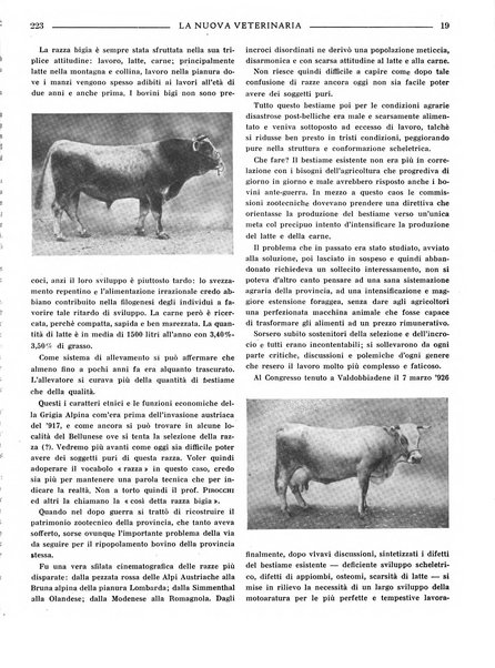 La nuova veterinaria rivista mensile fondata e diretta da Alessandro Lanfranchi