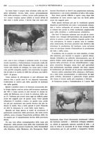 giornale/TO00190201/1936/unico/00000259