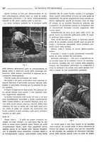 giornale/TO00190201/1936/unico/00000277