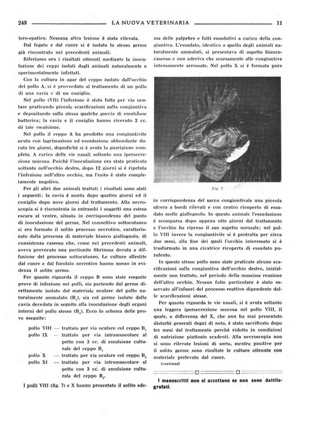 La nuova veterinaria rivista mensile fondata e diretta da Alessandro Lanfranchi