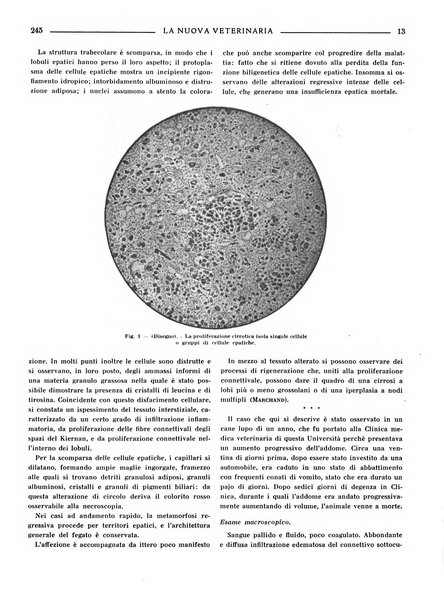 La nuova veterinaria rivista mensile fondata e diretta da Alessandro Lanfranchi