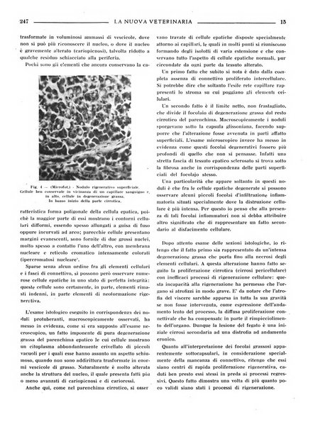 La nuova veterinaria rivista mensile fondata e diretta da Alessandro Lanfranchi