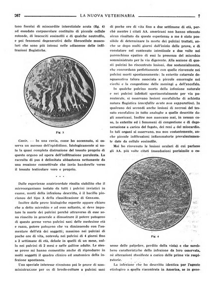 La nuova veterinaria rivista mensile fondata e diretta da Alessandro Lanfranchi