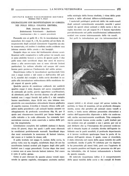 La nuova veterinaria rivista mensile fondata e diretta da Alessandro Lanfranchi