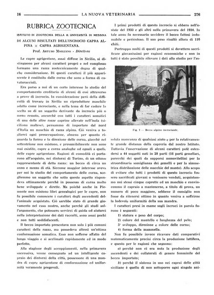 La nuova veterinaria rivista mensile fondata e diretta da Alessandro Lanfranchi