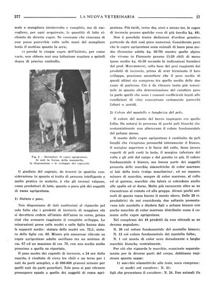 La nuova veterinaria rivista mensile fondata e diretta da Alessandro Lanfranchi