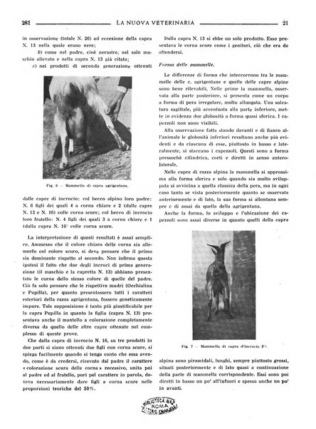 La nuova veterinaria rivista mensile fondata e diretta da Alessandro Lanfranchi