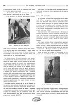 giornale/TO00190201/1936/unico/00000325
