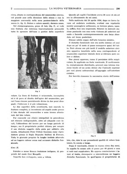 La nuova veterinaria rivista mensile fondata e diretta da Alessandro Lanfranchi