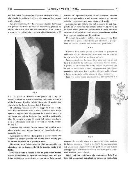 La nuova veterinaria rivista mensile fondata e diretta da Alessandro Lanfranchi