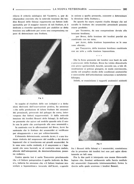 La nuova veterinaria rivista mensile fondata e diretta da Alessandro Lanfranchi