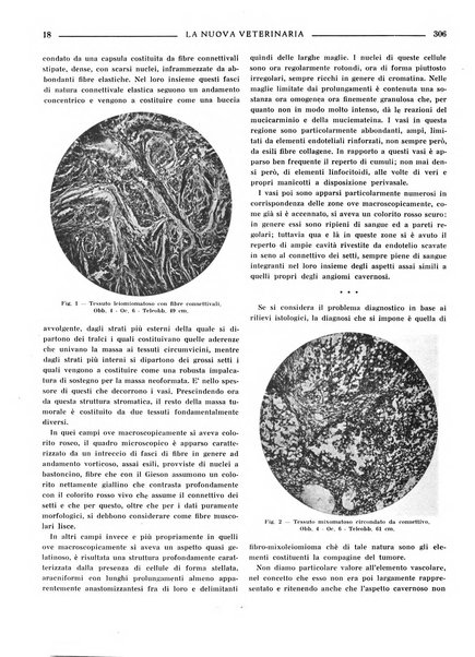 La nuova veterinaria rivista mensile fondata e diretta da Alessandro Lanfranchi