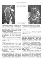 giornale/TO00190201/1937/unico/00000015