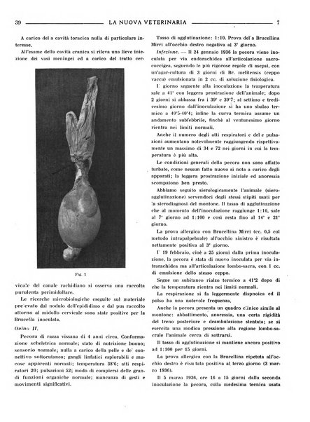 La nuova veterinaria rivista mensile fondata e diretta da Alessandro Lanfranchi